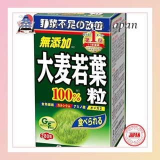 Yamamoto Kampo Pharmaceuticals 100%绿色大麦草青汁颗粒 280 粒