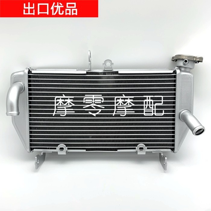 促銷 適用雅馬哈YZF-R25/R3 15-16-17-18-19-21年 水箱總成散熱器 鋁製