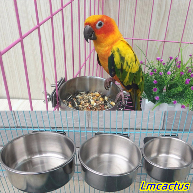 Lmcactus 不銹鋼鳥飼料盒鸚鵡杯碗容器食品餵水用品