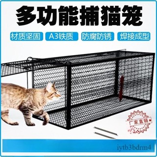 【✨現貨 宅配到府🚛】捕貓籠 神器 鐵絲網 加厚 特大號 全自動 雙彈簧 逮住 戶外 流浪 野貓抓 貓籠 捕鼠 誘貓籠