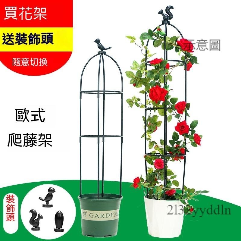 附發票⭐爬藤支架 玫瑰 園藝爬藤架 花架 歐式園藝爬藤架 月季花鐵線蓮花支架 植物攀爬藤架 陽台山烏龜支撐桿