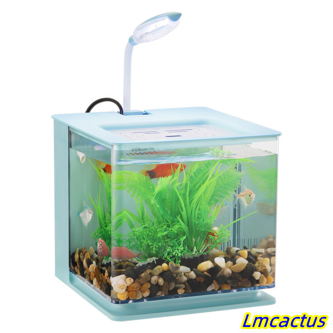 Lmcactus 小魚缸,帶內置 USB 水泵的小型水族箱,Led 水族燈,雙污染放電,