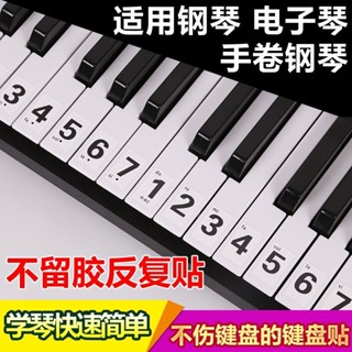 【快速出貨】鋼琴鍵盤貼紙88鍵61電子琴手卷琴鍵五線譜簡譜按鍵音符音標數字貼