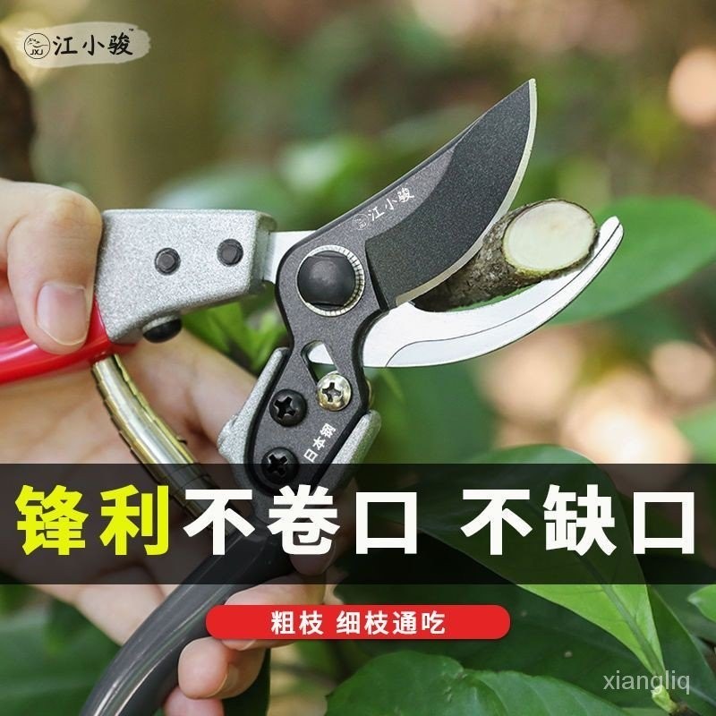 日本SK5果樹修剪刀園林修剪樹枝專用剪子省力園藝修花枝花藝剪刀