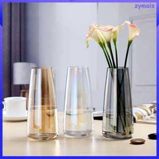 玻璃花瓶玻璃容器裝飾花盆家庭辦公桌裝飾辦公室 zymais