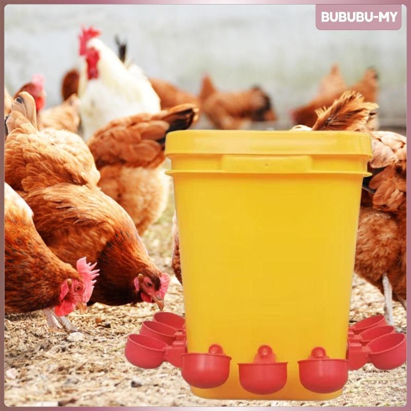 [BububuMY] 雞飲水杯母雞鵝用品自動雞飲水器