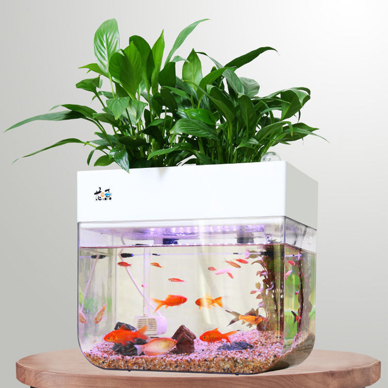 魚花共生系統魚菜共生養花養魚一件式家庭陽臺小魚缸塑膠生態水族箱