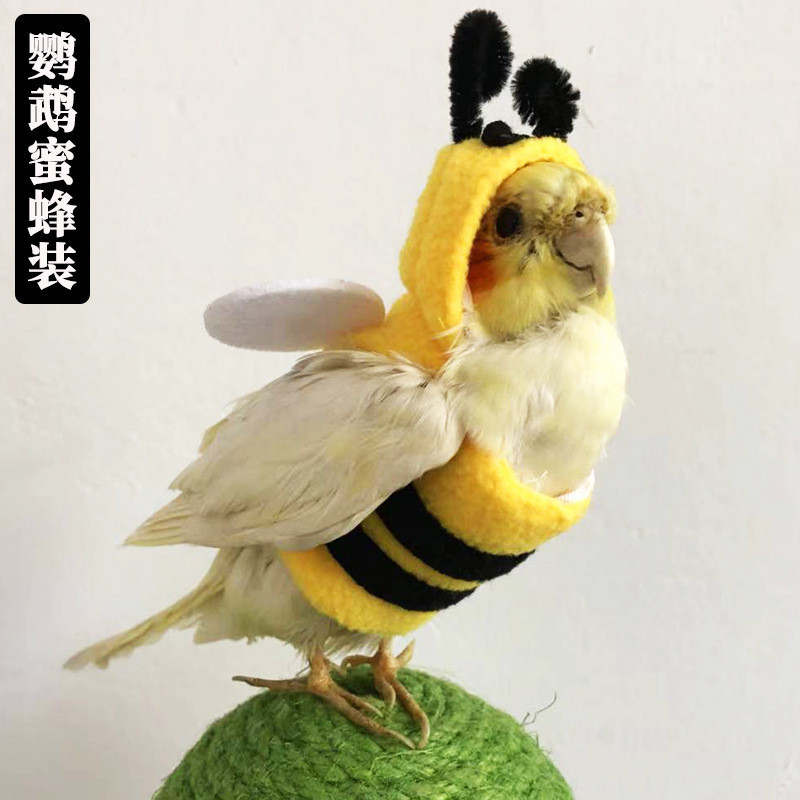 鸚鵡衣服 寵物鳥衣服 鸚鵡服裝 秋冬保暖可愛搞笑鸚鵡蜜蜂變身裝