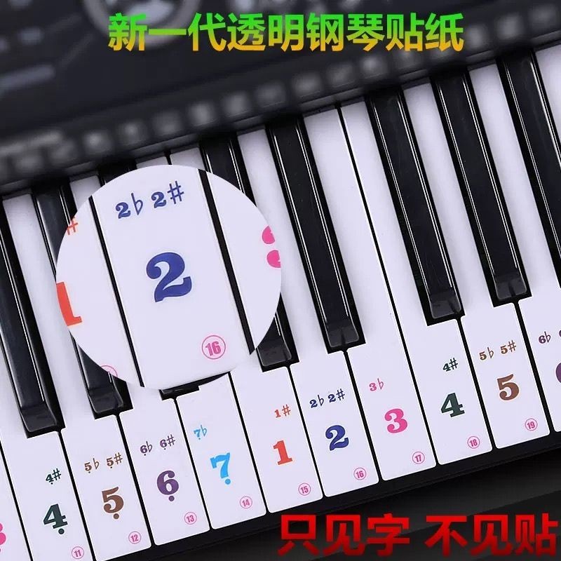 【快速出貨】88/61/54鍵 透明鋼琴彩色鍵盤貼紙 電子琴琴貼五線譜簡譜音符鍵