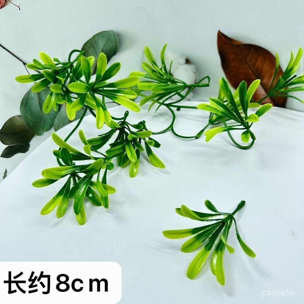 【新品上新】新款仿真羅漢草鮮花配飾花裝飾材料花束點綴魚缸水草塑膠灑家擺盤