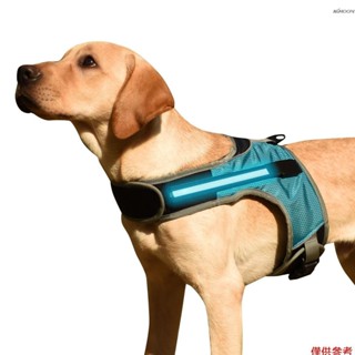 狗背帶 LED 燈反光可調節舒適軟墊背心,適用於中型大型犬