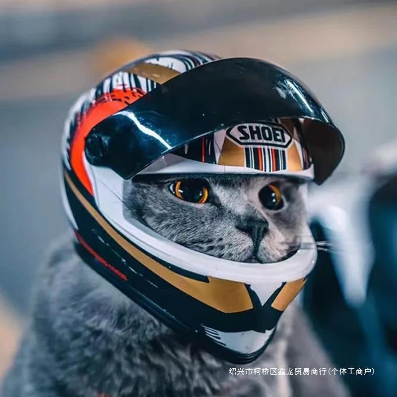 貓咪機車頭盔 喵專用寵物 機車頭盔 貓狗狗帥氣迷你機車帽 安全帽子 帽子