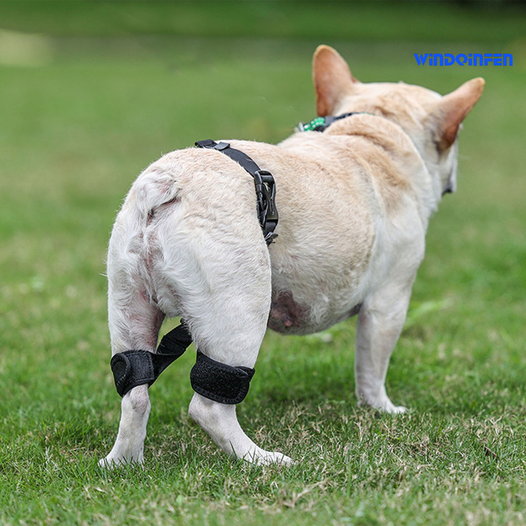 [萌寵屋]寵物護具狗髖關節輔助矯正帶受傷輔助康復帶狗狗關節受傷術後護具（頻道）