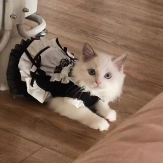 狗狗衣服秋冬款帥氣春秋季 寵物女僕裝貓貓狗狗貓咪公主裝可愛貓衣服貓咪狗狗公主裙洛麗塔