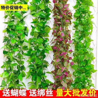 【尚品】模擬綠蘿葡萄壁掛裝飾植物藤條藤蔓 管道裝飾塑膠花假花藤條假樹葉藤