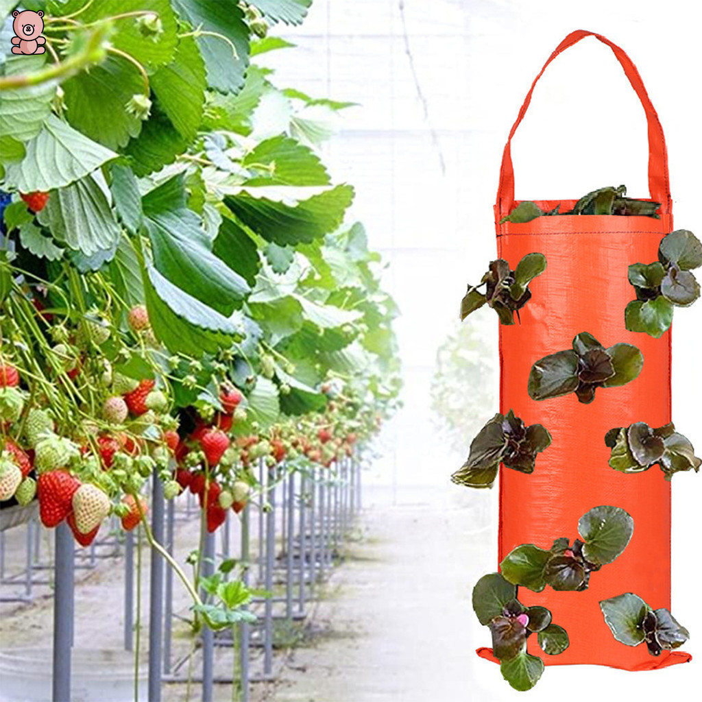 多功能掛草莓種植袋倒掛花盆番茄土豆蔬菜花卉植物種植袋花園裝飾 YK