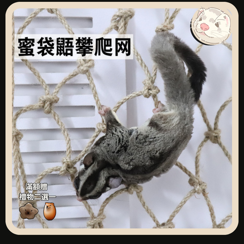 【貂】蜜袋鼯攀爬網 松鼠 飛鼠 鸚鵡用品 玩具 爬繩 麻繩 網鞦韆吊繩 自由變形 小寵用品