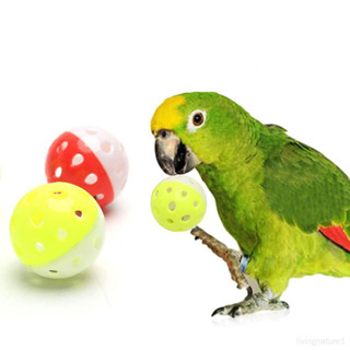 鸚鵡訓練綵球 寵物玩具 寵物用品 塑膠發聲貓咪狗狗內置彩珠 鏤空球