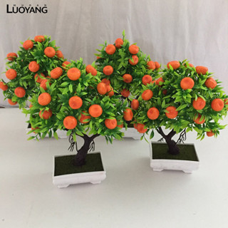 洛陽牡丹 仿真植物模擬水果假花盆景23顆小紅桔盆