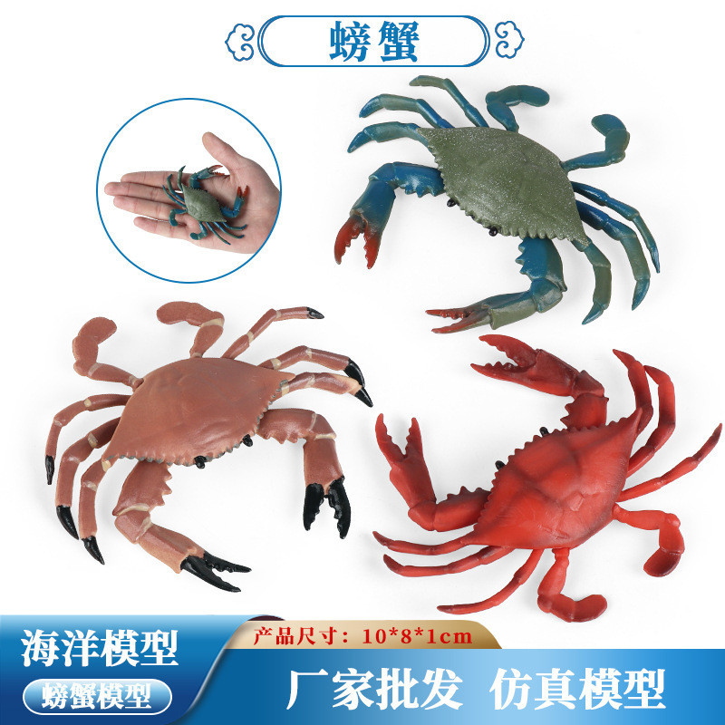 ❤樂樂屋❤仿真小青螃蟹實心海洋動物模型帝王蟹三點蟹模型兒童認知玩具擺件