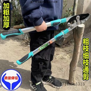 剪樹枝 專用剪刀修剪粗枝大剪刀 果樹修枝 大力剪強力剪子藝園林工具剪樹枝 伸縮修枝剪 樹剪 剪定鋏 修枝剪 樹枝剪 採果