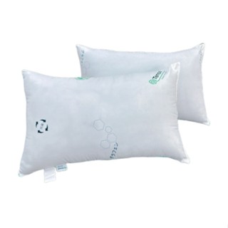 天絲石墨烯抗菌枕[大買家]