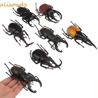 仿真甲蟲動物採集無毒昆蟲玩具甲蟲形假甲蟲模擬動物昆蟲模型
