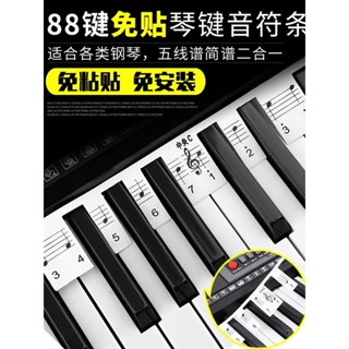 【快速出貨】鋼琴鍵盤貼紙電鋼琴電子琴琴鍵貼鍵盤條88鍵五線譜簡譜音符音標貼