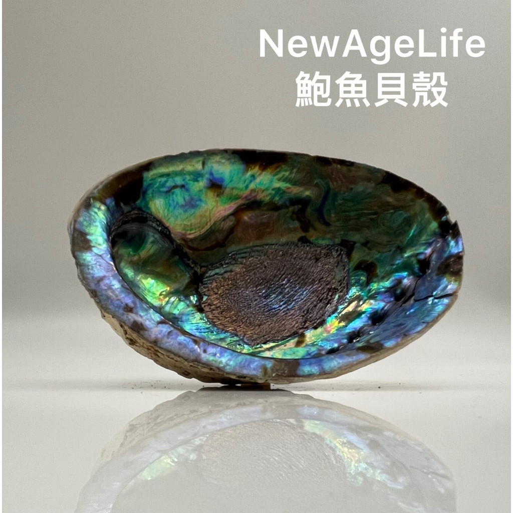 【NewAgeLife】尺寸最齊~超美 鮑魚殼 用來淨化效果最佳 白色鼠尾草 薰香爐 淨化 鮑魚貝殼 鼠尾草
