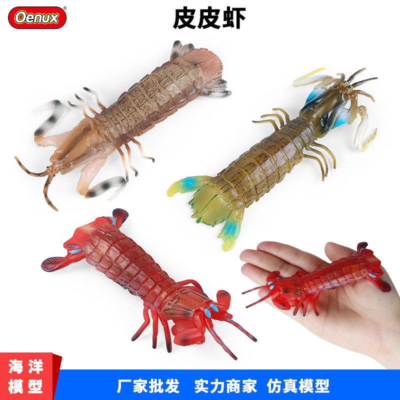 仿真實心海洋生物動物模型皮皮蝦瀨尿蝦蝦姑蝦耙子兒童科教玩具