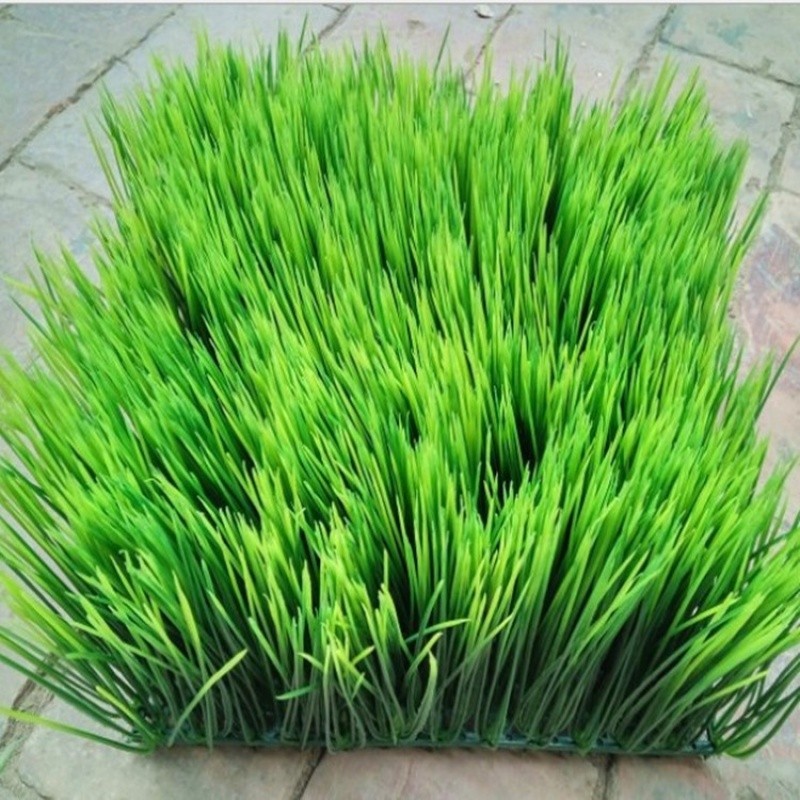 仿真植物牆 仿真草坪 假草皮植物裝飾室外綠植大長草塑膠方塊草坪