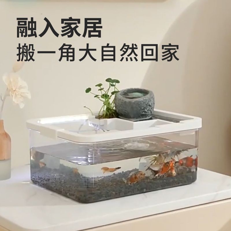 、古法養魚生態缸造景全套自循環茶幾迷你桌面小魚缸辦公室客廳家用