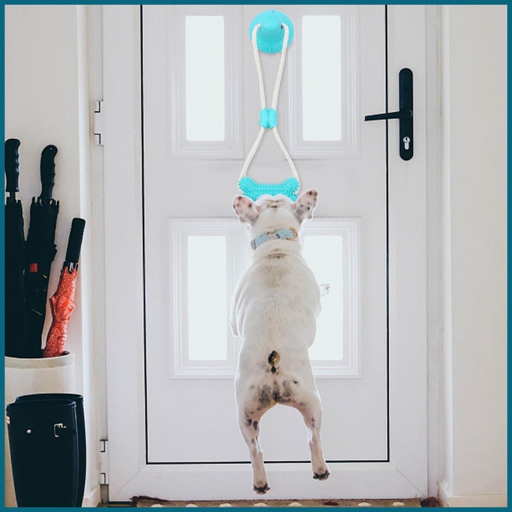 吸盤狗玩具寵物出牙繩吸盤玩具可重複使用清潔牙齒互動玩具球適用於中號 jiwtw