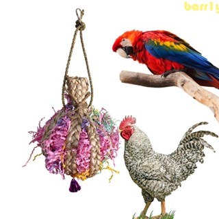 BARR1Y鸚鵡碎紙機玩具,帶鈴鐺的小鳥咀嚼玩具耐咬鸚鵡咬玩具,草/紙顏色隨機鸚鵡籠覓食玩具