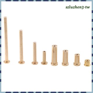 [SzluzhenfbTW] 高爾夫黃銅塞配重,用於鋼鐵桿身 2,4,6,8g 8pcs/pack