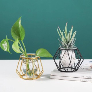 鐵藝花架水培玻璃花瓶創意家居桌面裝飾植物插花擺件