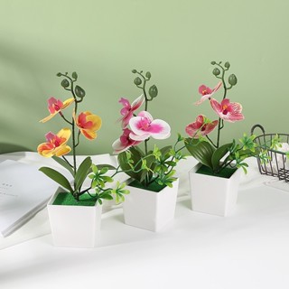 人造花人造蘭花蝴蝶蘭帶塑料盆家居裝飾