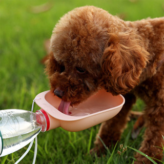寵物用品 寵物飲水機 戶外狗狗飲水碗 外出便捷搭配寶特瓶狗碗