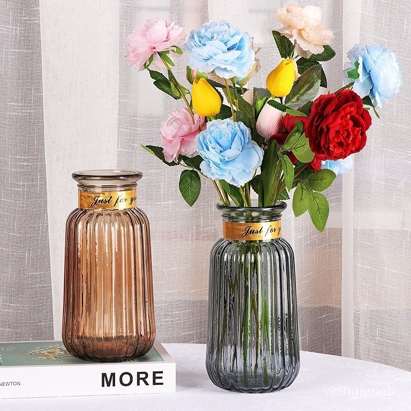【優品上新】北歐仿金圈玻璃花瓶 透明花瓶 乾燥花插花玻璃瓶 客廳家居創意裝飾擺件 N6PL
