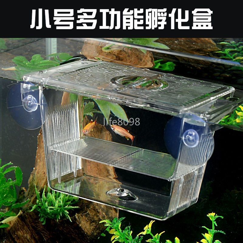 【台灣出貨】魚缸孵化隔離盒孔雀魚斑馬魚苗繁殖隔離盒亞克力透明產卵孵化盒【優質】