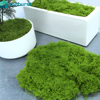 30/50g 綠色人造苔蘚 - 可切割、柔軟、可拉伸 - DIY 工藝品裝飾 - 用於景觀盆栽花園 - 模擬永生苔蘚草坪