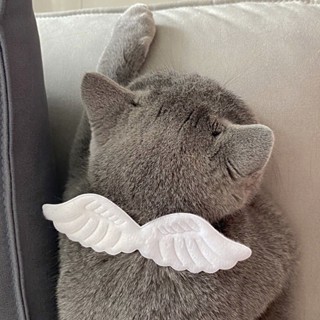 【寵物用品 寵物配飾】天使翅膀寵物項圈 無敵可愛貓項圈