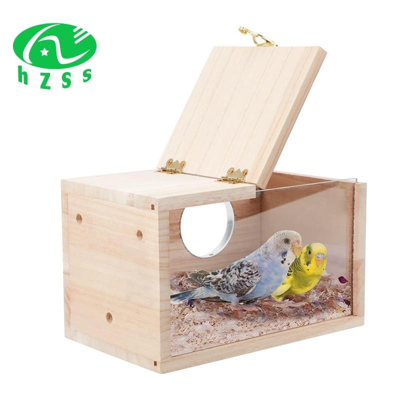 1 件長尾小鸚鵡築巢箱透明鳥屋鸚鵡鸚鵡鸚鵡愛情鳥