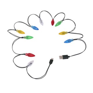 Rox USB C LED 燈串聖誕燈充電線充電線裝飾裝飾品