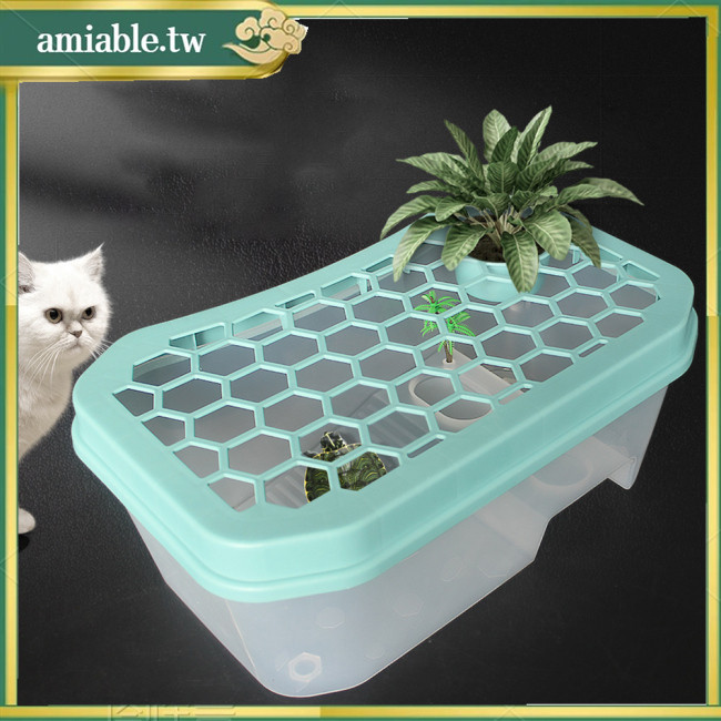 Ami 迷你龜缸帶曬台 5 區設計半透明龜箱棲息地養殖工具