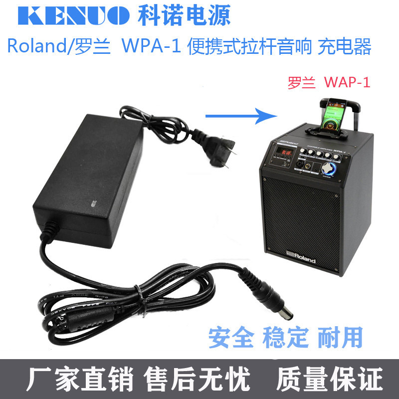 Roland/羅蘭  WPA-1 便攜式拉桿音響 電源適配器 線 充電器 音箱