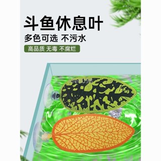 【台灣出貨】斗魚叶子休息叶產卵叶雙叶設計觀賞裝飾仿真水草魚缸造景躲藏睡床【優質】