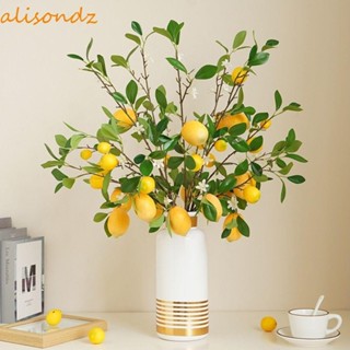 ALISOND1檸檬樹枝新鮮天然餐廳插花酒店家居裝飾檸檬水果
