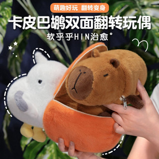 🔥臺灣出貨 卡皮巴拉雙面翻轉玩偶 鵜鶘卡皮巴拉 鵜鶘翻轉水豚 水豚翻轉玩偶 卡皮巴拉翻轉娃娃 水豚 水豚娃娃 生日禮物
