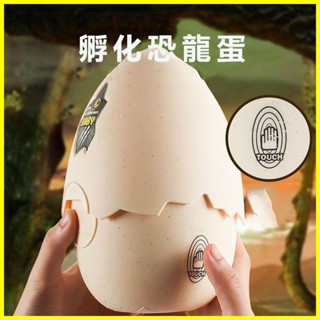 侏羅紀 恐龍 孵化 恐龍蛋 玩具 霸王龍 兒童 模擬 動物 三角龍 會走 生日禮物
